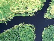 Forêt tropicale et rivière - Brésil